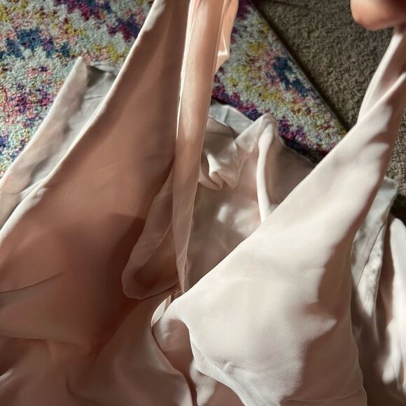 BirdyGrey Moni Convertible - Pale Blush large - Picture 10 of 12